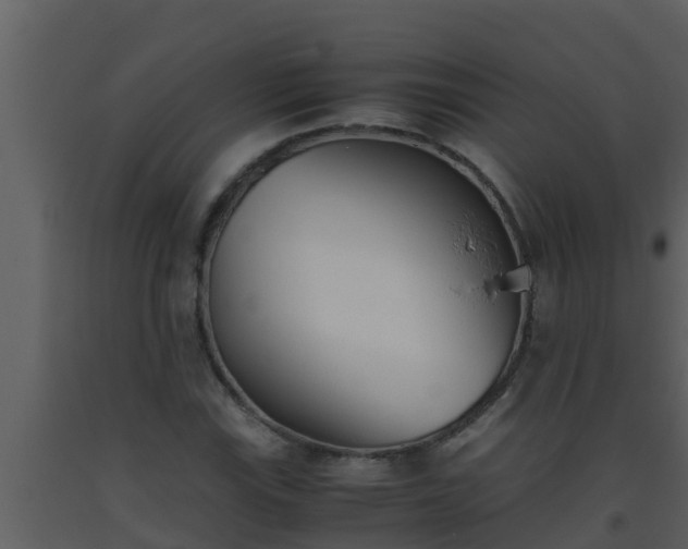 X0000093531115200710191348