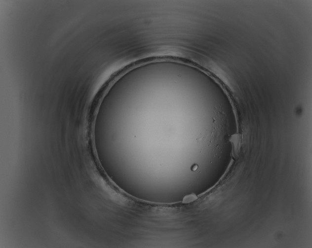 X0000093531116200710191348