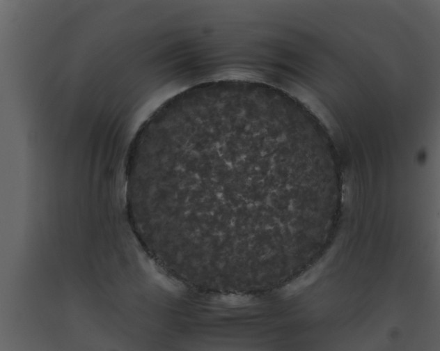 X0000093531117200710191348