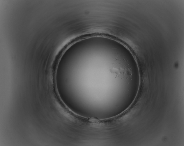 X0000093531118200710191348