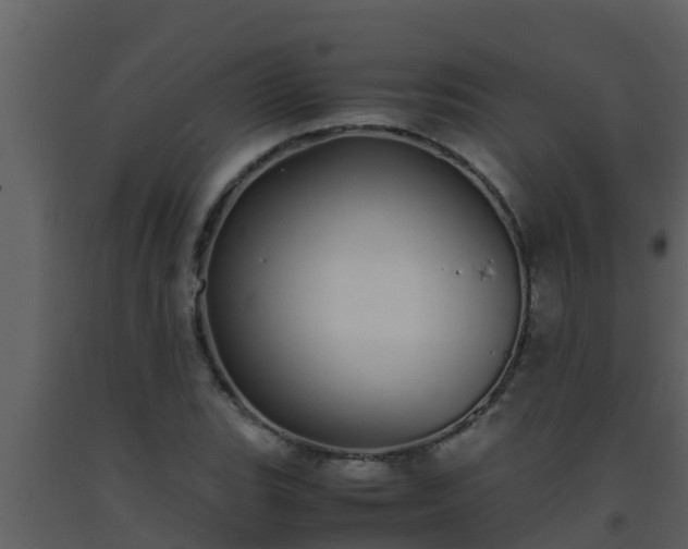 X0000093531119200710191348