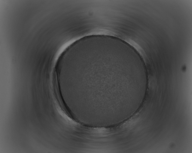 X0000093531120200710191348