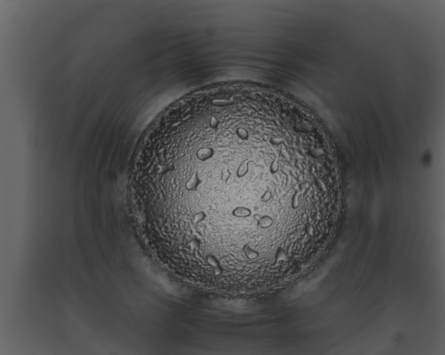 X0000093531121200710191348