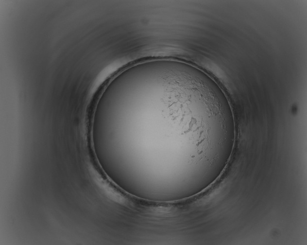 X0000093531122200710191348