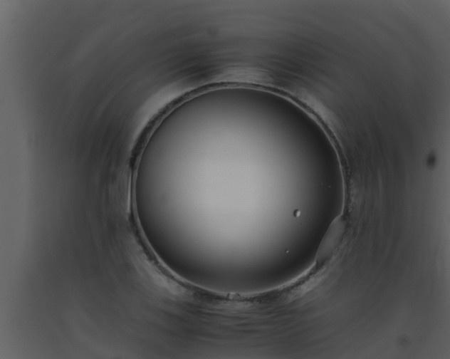 X0000093531123200710191348