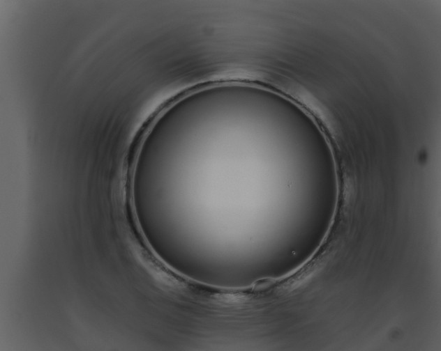 X0000093531124200710191348