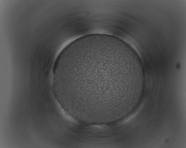 X0000093531125200710191348