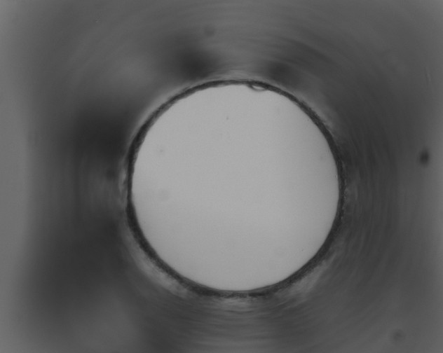 X0000093531126200710191348
