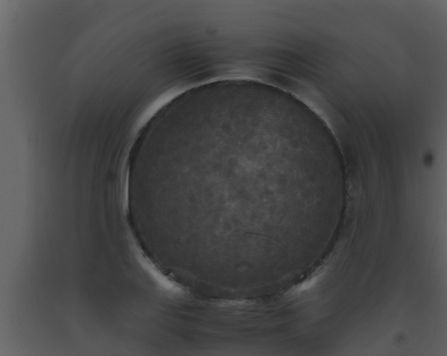 X0000093531127200710191348