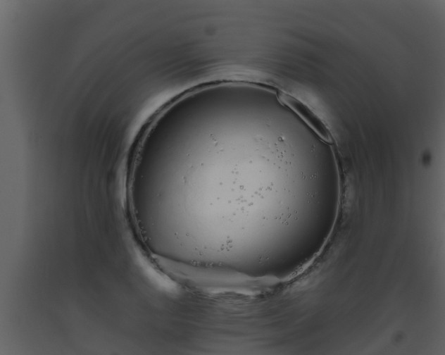 X0000093531128200710191348
