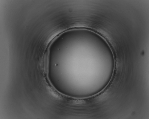 X0000093531129200710191348