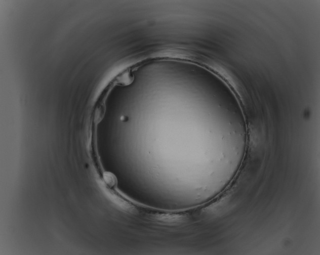 X0000093531131200710191348