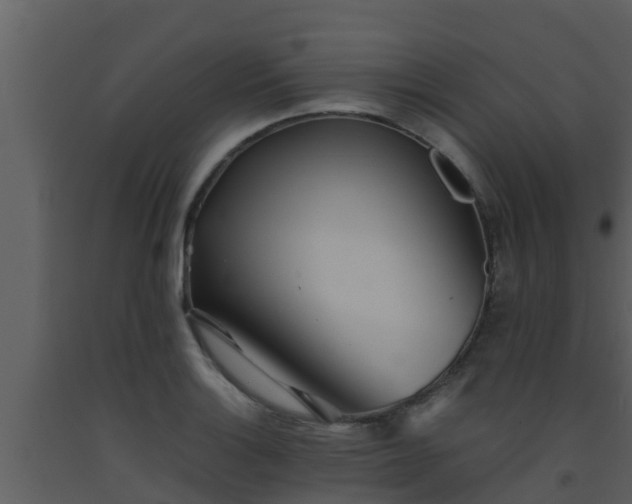 X0000093531132200710191348