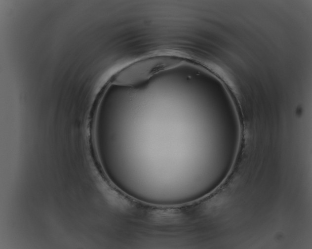 X0000093531133200710191348