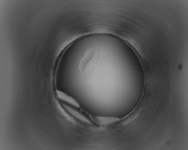 X0000093531134200710191348