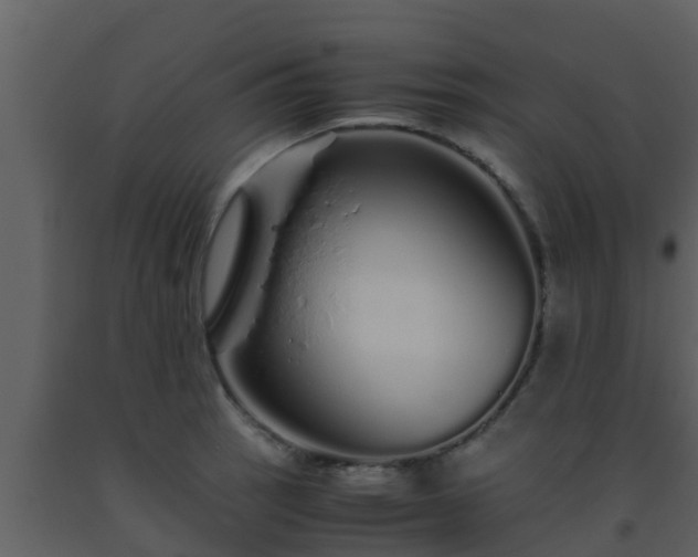 X0000093531137200710191348
