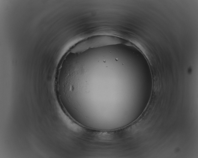 X0000093531139200710191348