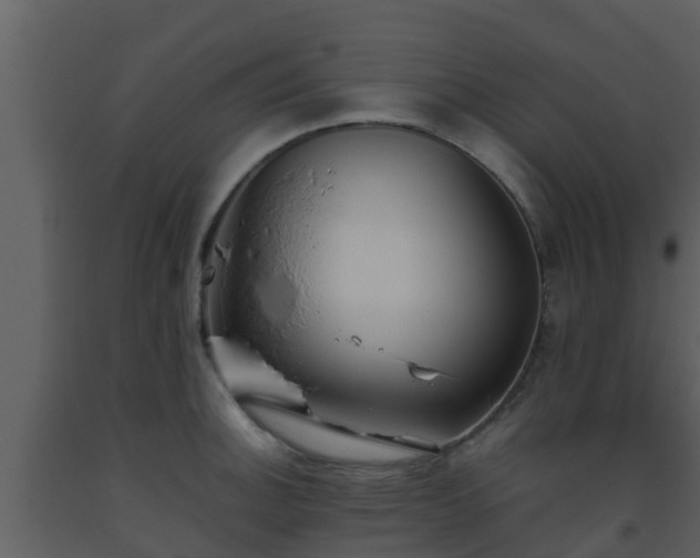 X0000093531140200710191348