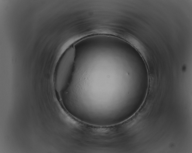 X0000093531141200710191348