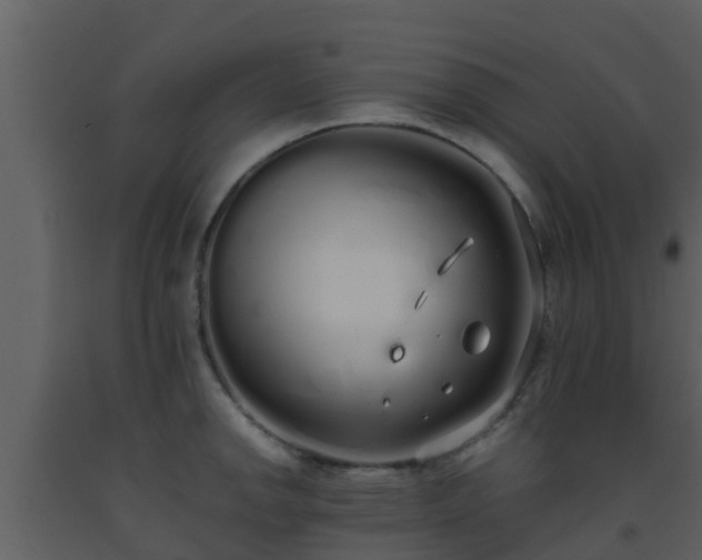 X0000093531142200710191348