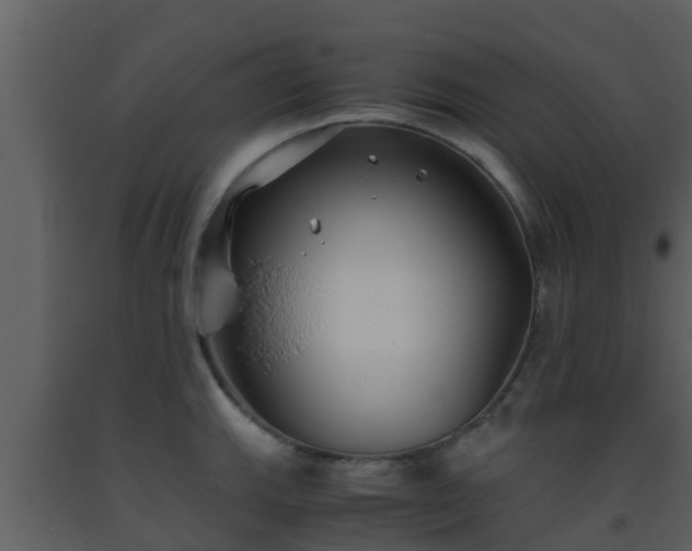 X0000093531143200710191348
