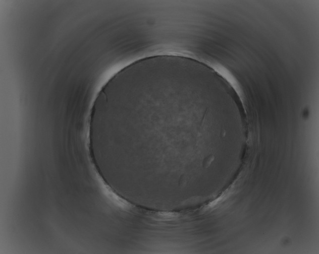 X0000093531144200710191348