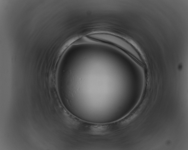 X0000093531145200710191348