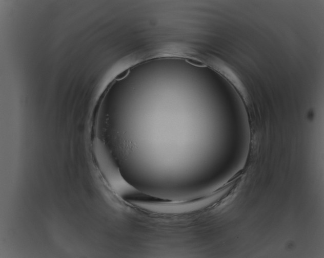 X0000093531146200710191348
