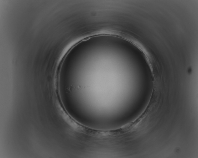 X0000093531148200710191348