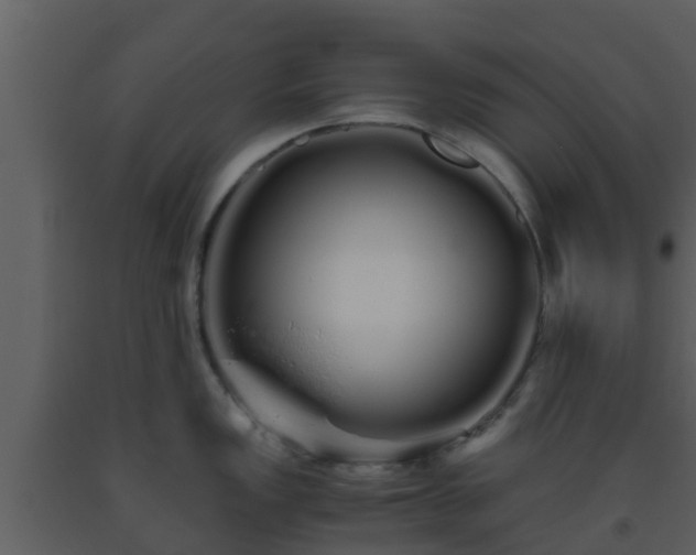 X0000093531149200710191348