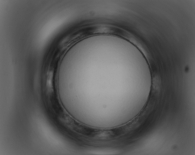 X0000093531150200710191348