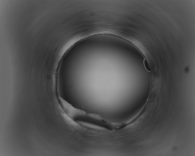 X0000093531151200710191348
