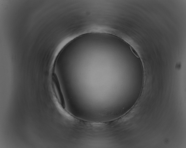 X0000093531152200710191348