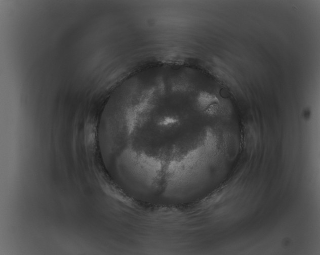 X0000093531154200710191347