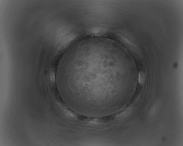 X0000093531155200710191347
