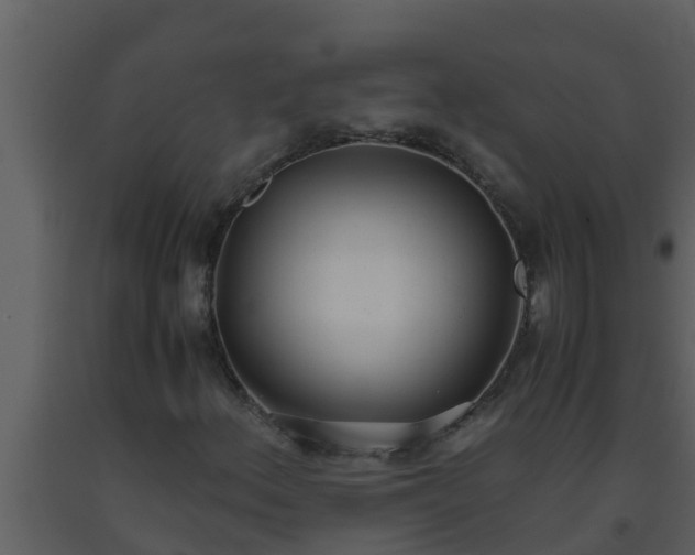X0000093531156200710191347