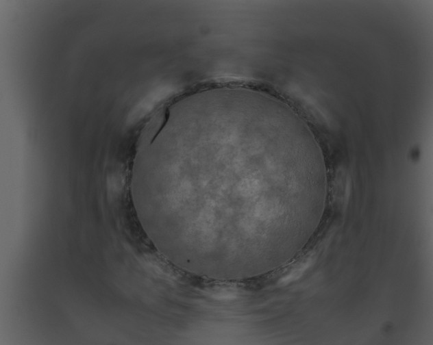 X0000093531157200710191347