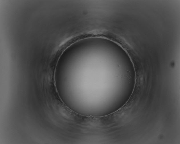 X0000093531158200710191347