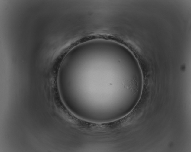 X0000093531159200710191347