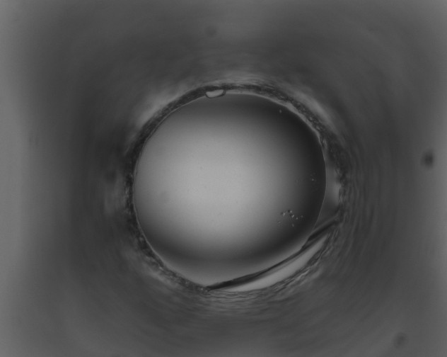 X0000093531160200710191347