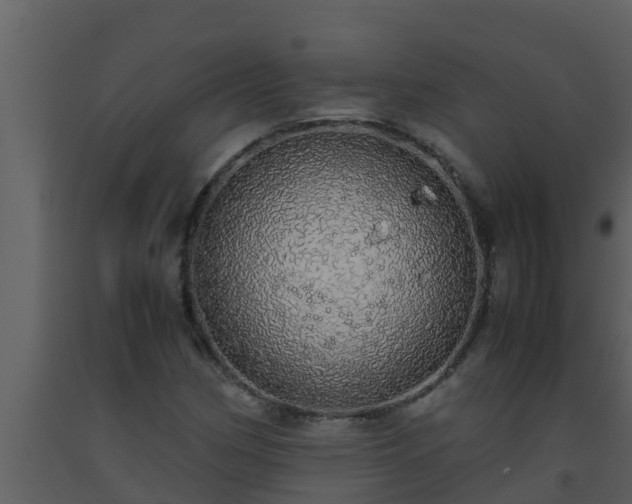 X0000093531162200710191347