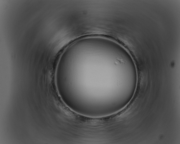 X0000093531163200710191347