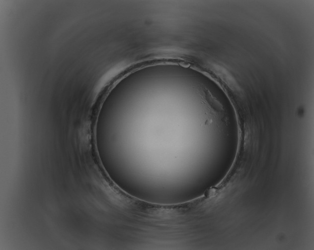 X0000093531164200710191347