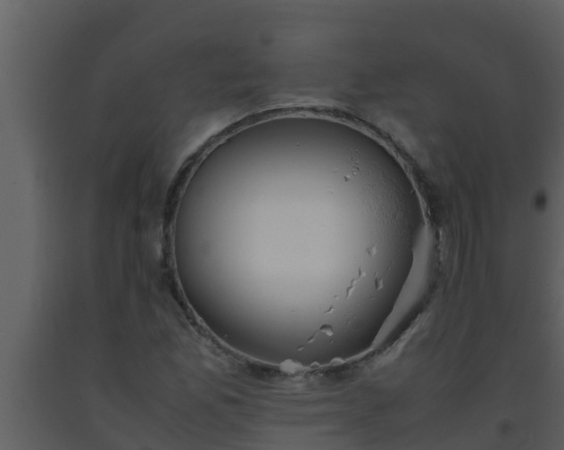 X0000093531165200710191347