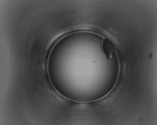 X0000093531166200710191347
