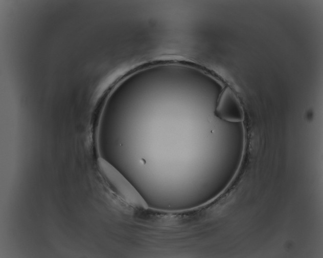 X0000093531167200710191347
