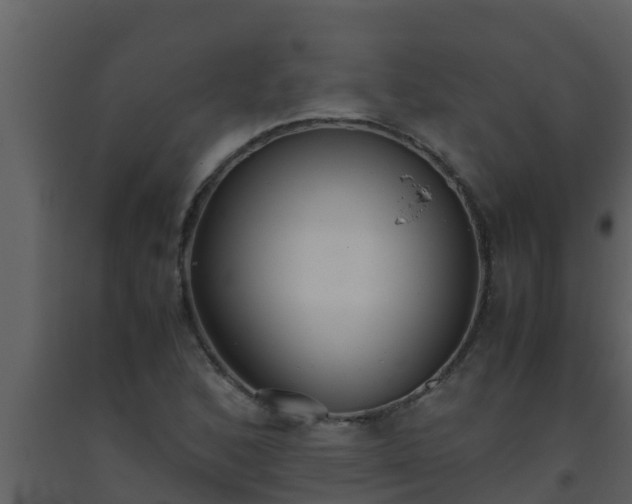 X0000093531168200710191347