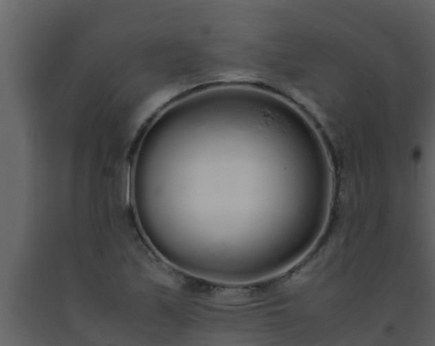 X0000093531171200710191347