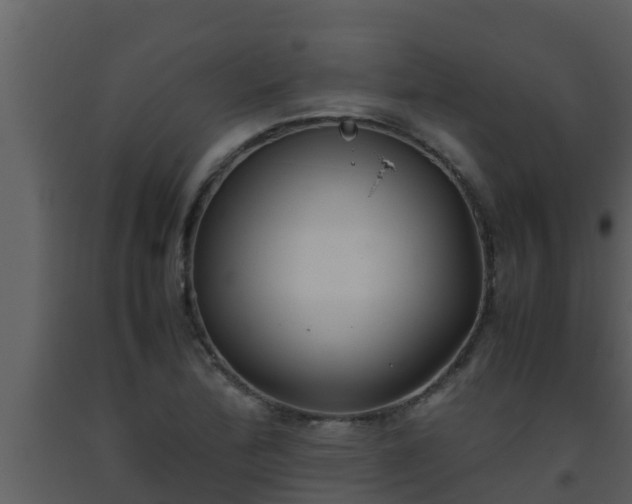 X0000093531172200710191347