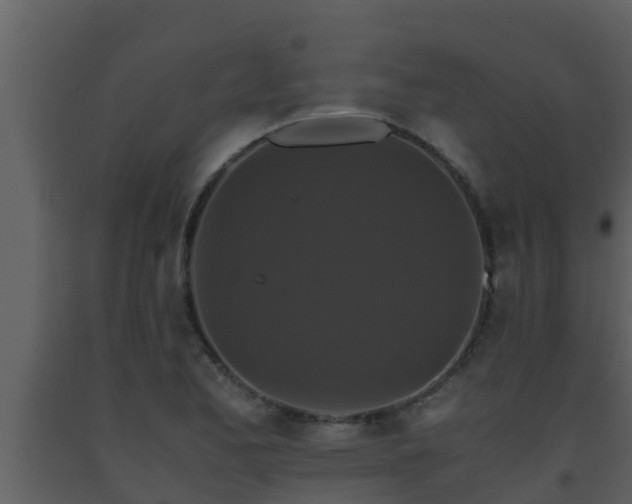 X0000093531173200710191347